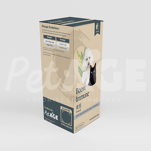 Huang Qi (Immune Boost)