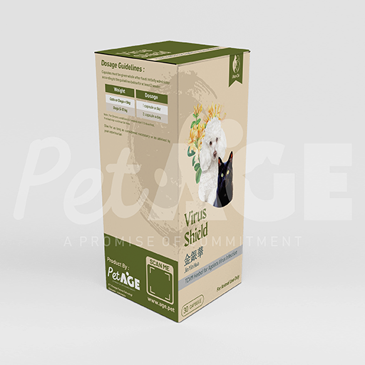 Jin Yin Hua (Virus Shield)